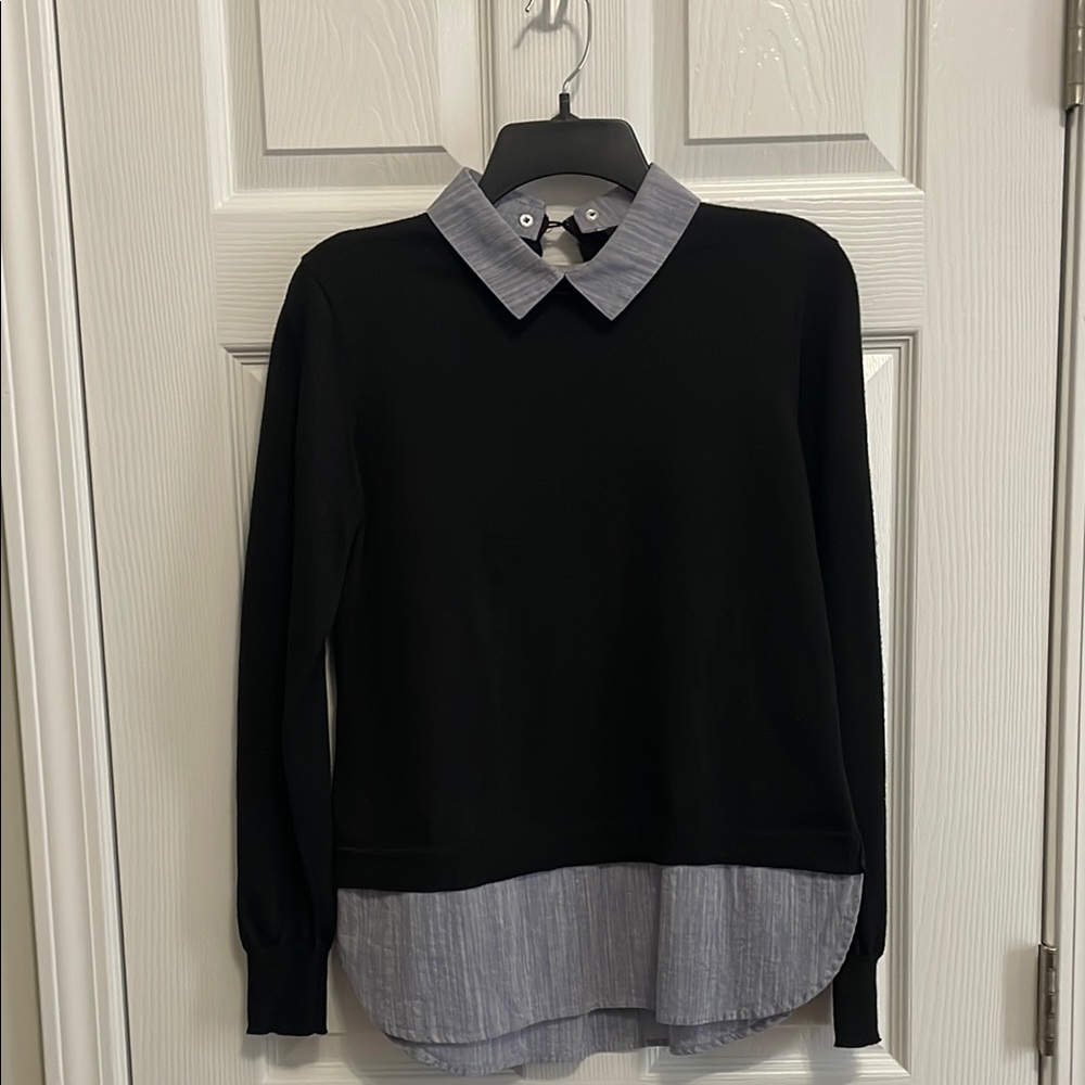 Sharagano Sweater
